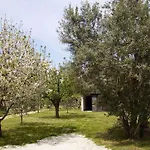 Irena Trogir