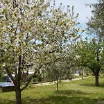 Irena *
