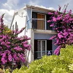 Irena Trogir