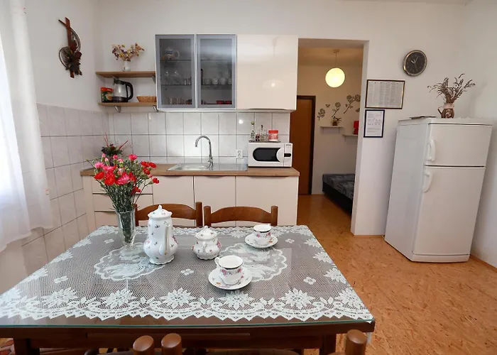Apartament Irena *