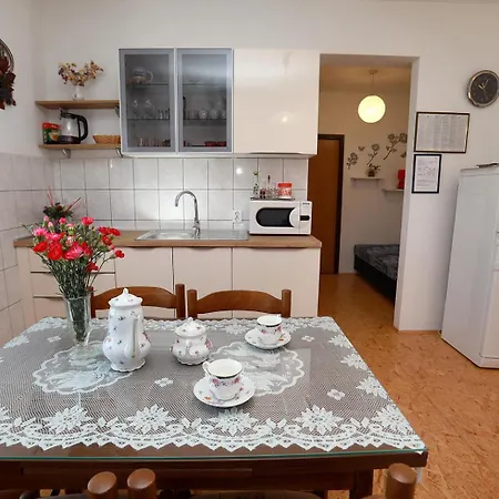Apartament Irena *