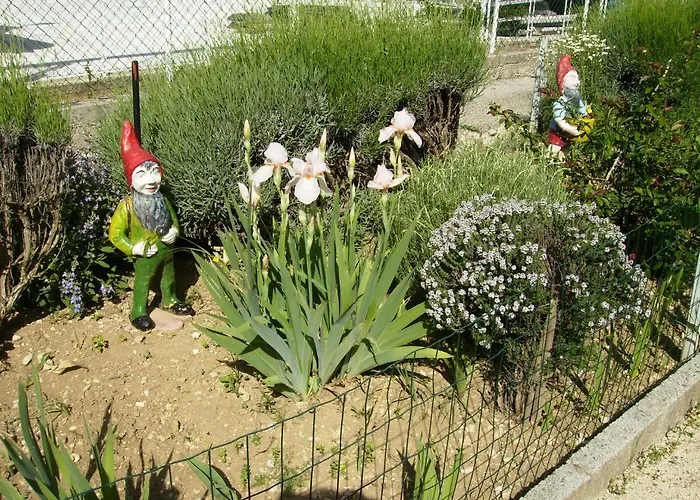 伊雷纳公寓 公寓 *